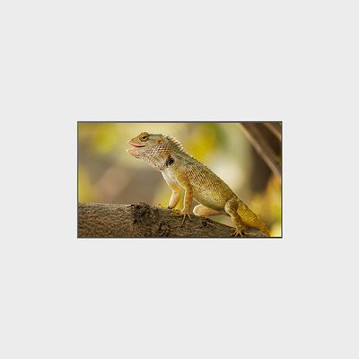 2000 نیت روشنایی بالا 3840 * 2160 صفحه نمایش LCD 98 اینچی برای عملکرد بهینه