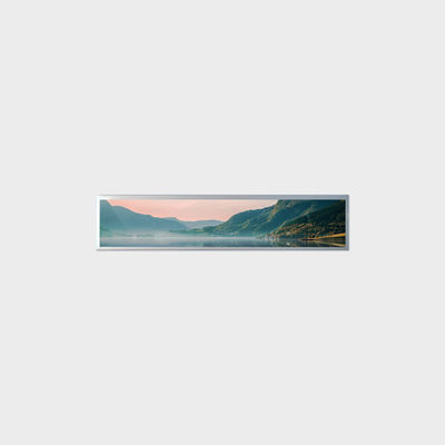 19صفحه نمایش LCD 2 اینچی با نوع نوار 1920*360 LVDS 500nits