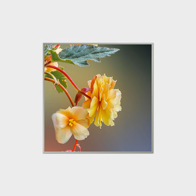 33.2 اینچ LCD Square Display 420nits LVDS ماژول LCD برای مراکز خرید
