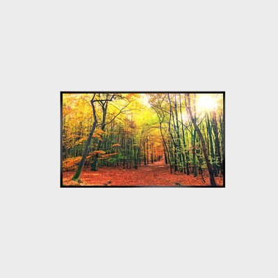 صفحه نمایش LCD 43 اینچ صفحه نمایش LCD 1000nits رزولوشن 3840 * 2160 LCMA-RX0430GL19-Z100