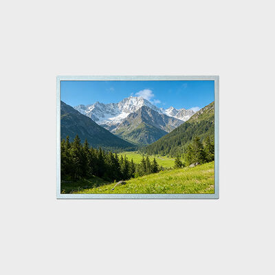 صفحه نمایش 15 اینچی TFT LCD با وضوح 1024*768 پشتیبانی از -30 تا 80 درجه سانتیگراد راه حل