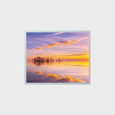 صفحه نمایش 19 اینچی TFT LCD با وضوح بالا 1280*1024 منطقه صنعتی