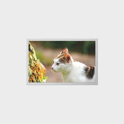 صفحه نمایش 12.1 اینچی TFT با LCD کم مصرف برای دستگاه های پزشکی قابل حمل