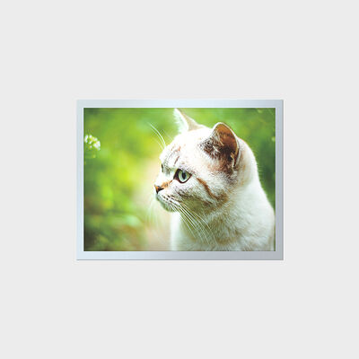 LCD 15 اینچی TFT با طول عمر بالا برای پانل های ابزار صنعتی