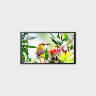 32 inch TFT LCD Advertising Display 4000nits High Brightness Solution