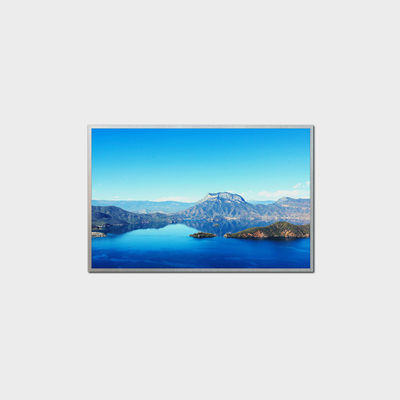 10.1 اینچ صفحه نمایش ال سی دی درخشان 1280*800 LVDS 1000nits