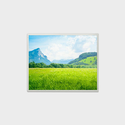 LVDS 500nits روشنایی بالا صفحه نمایش LCD 19 اینچ صفحه نمایش LCD 1280 * 1024