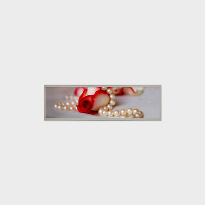19.4 اینچ بار صفحه LCD 1920*510 LVDS 1000 Nits Screen برای نشانه های تجاری