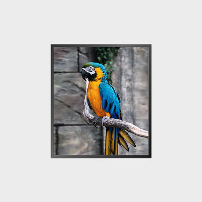 صفحه LCD مربع با کنتراست بالا ۳۵٫۶ اینچ ۹۵۰*۱۰۸۰ ۵۰۰ نیت با سیستم اندروید