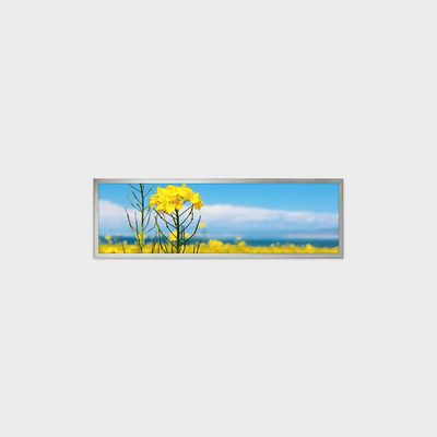 راه حل نمایشگر LCD TFT 19.4 اینچی با وضوح 1920*510 و پشتیبانی از سفارشی‌سازی برای کاربردهای خانه هوشمند