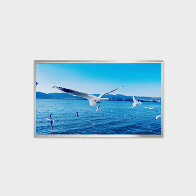 13.3 اینچ TFT LCD Solution 800nits راه حل روشنایی نمایشگر گسترده دما