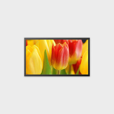 دستگاه 32 اینچی TFT LCD قابل شارژ پشتیبانی از سیستم اندروید 13.0
