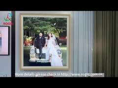 35.6 اینچ مربع صفحه LCD 1900 * 2160 500nits V- توسط یک ماژول نمایش