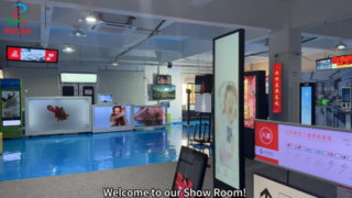Rogin's Show Room - ماژول LCD با اندازه کوچک و متوسط ​​Full-HD